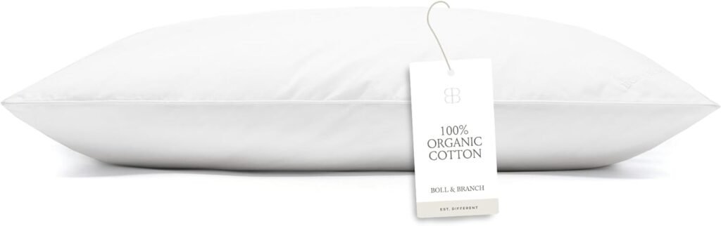 Boll & Branch's Down Chamber Pillow